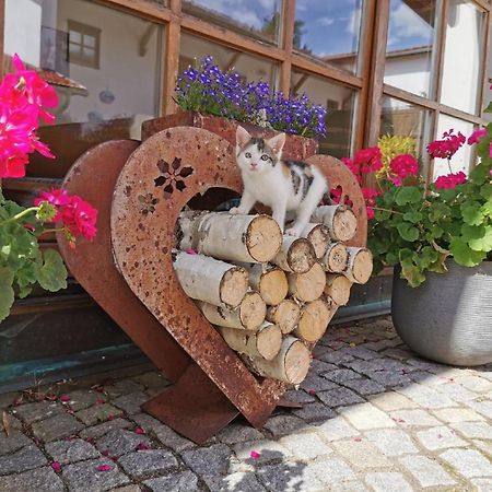 Apartamento Bauernhof Suesshof Zwiesel Exterior foto